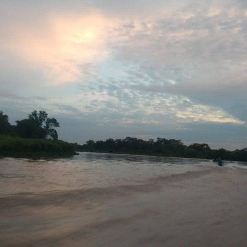 Pantanal