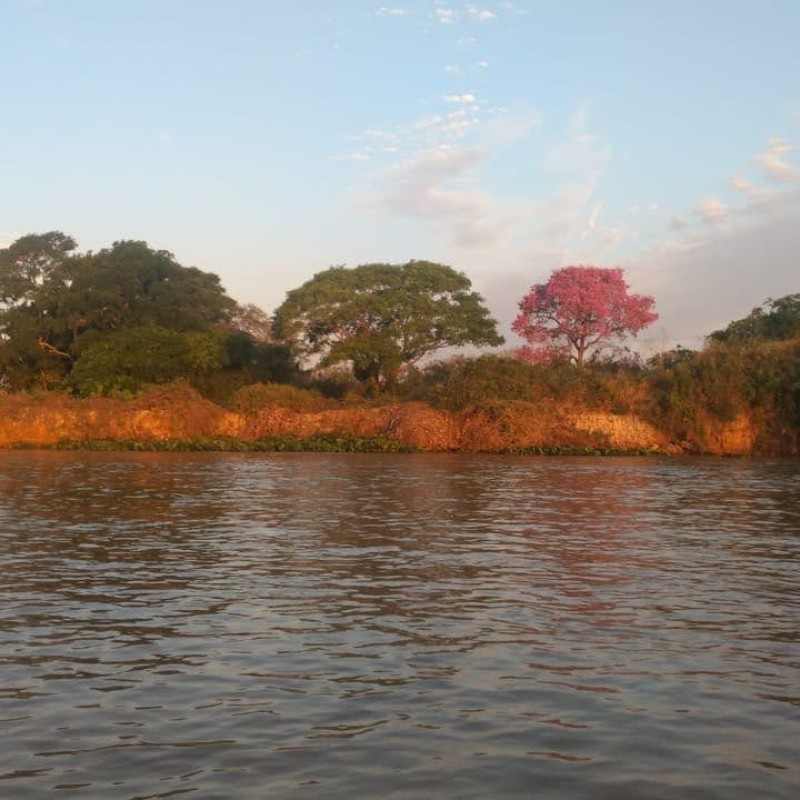 Pantanal