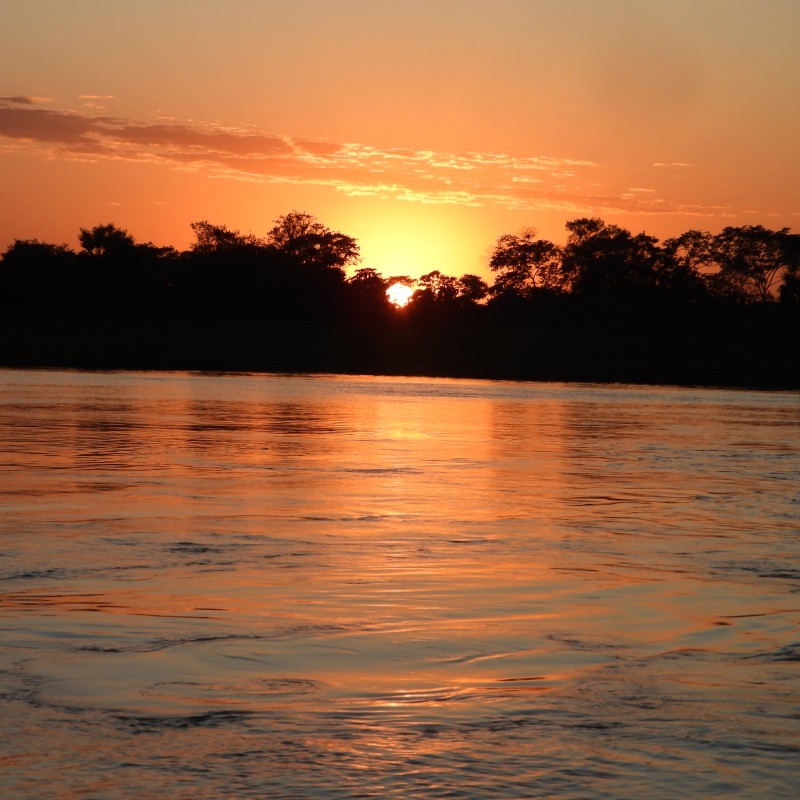 Pantanal